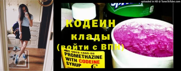 прущие грибы Белокуриха