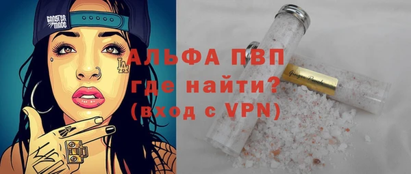 прущие грибы Белокуриха