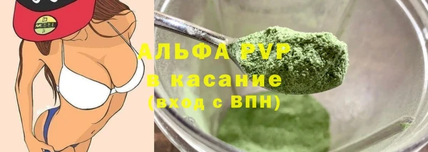 прущие грибы Белокуриха