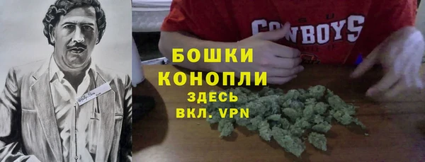 ALPHA PVP Беломорск