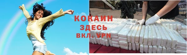 прущие грибы Белокуриха
