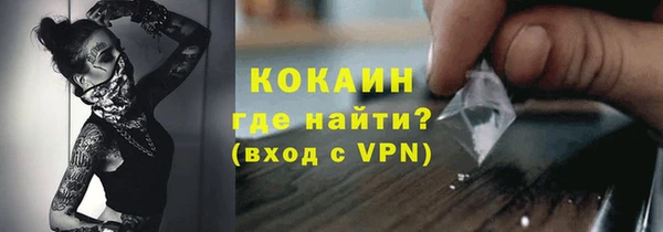 прущие грибы Белокуриха