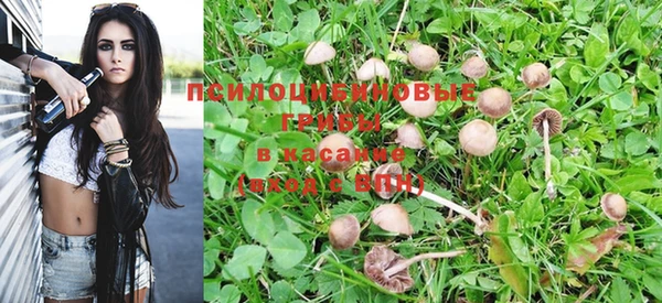 прущая мука Белоозёрский