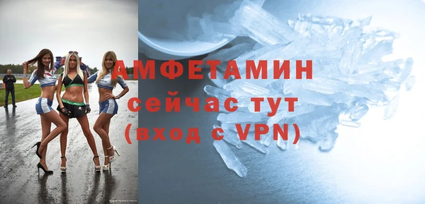 прущие грибы Белокуриха
